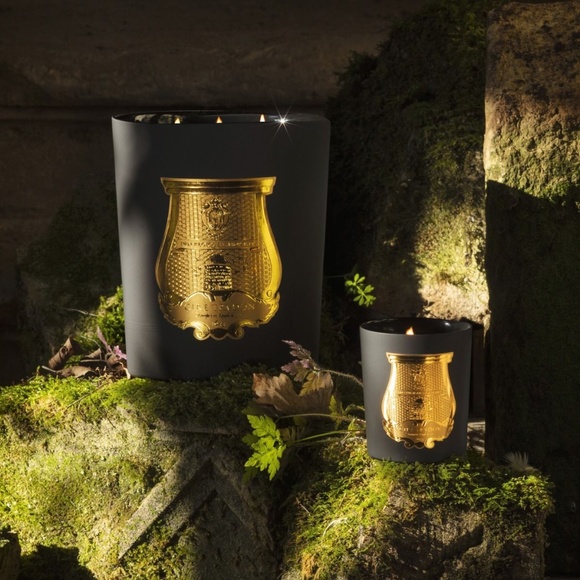 Cire Trudon | Mary Candle - Cedar and Gaiac - 270 g - NWT - Picture 6 of 7